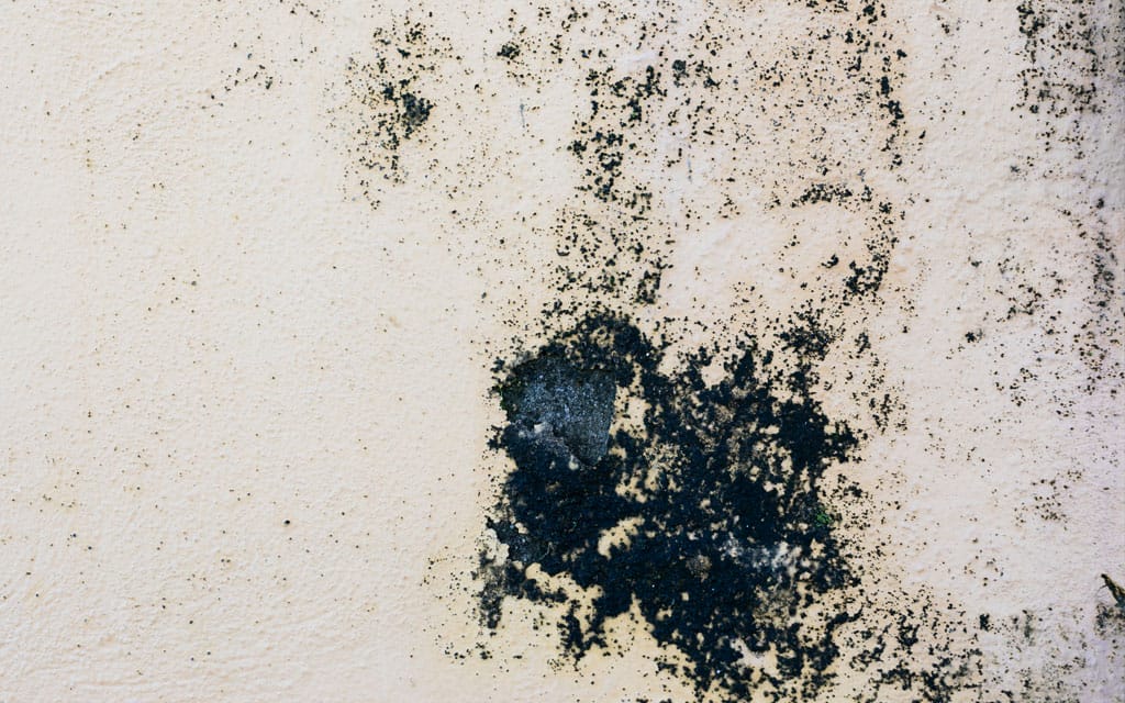 Clean oil stains from cement with Petro Buster